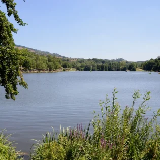 Vue, Lac de Saint-Point, Eté, Le Sud Bourgogne