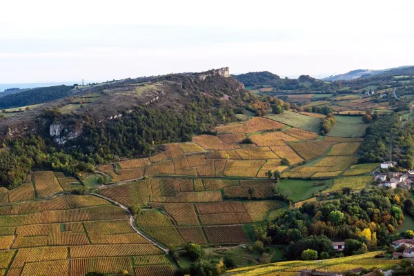 Vue sur la Roche de Solutré, Vignes, Couleurs d'automne