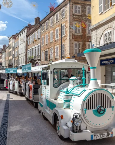 Petit train touristique, Mâcon