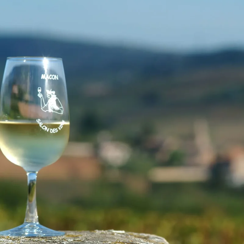 salon des vins, mâcon