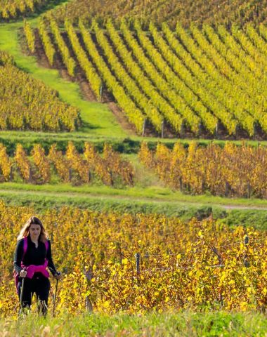 Randonnée, Vignoble Mâconnais, Le Sud Bourgogne