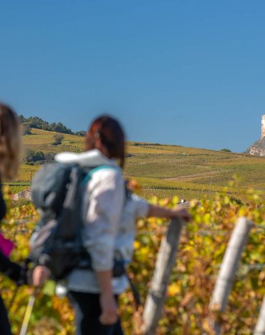 Randonnée, Solutré-Pouilly, Automne, Le Sud Bourgogne