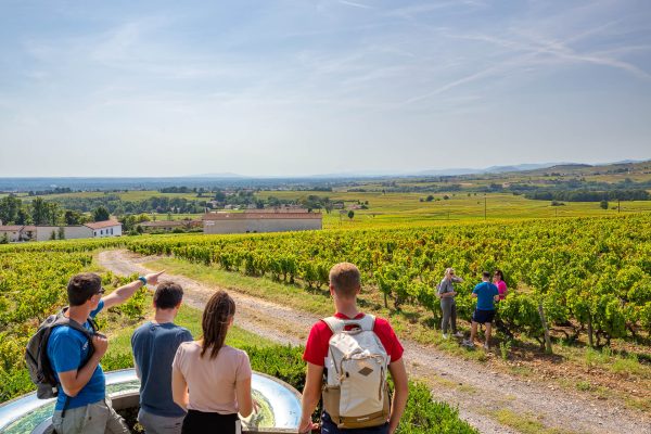 Point de Vue, Saint-Amour Bellevue, Mâconnais, Le Sud Bourgogne