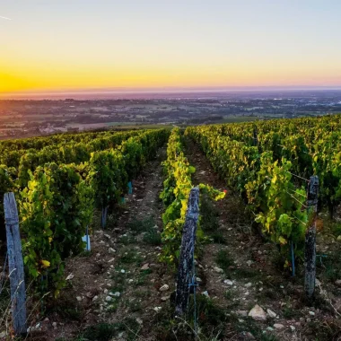 Evénements clés en main